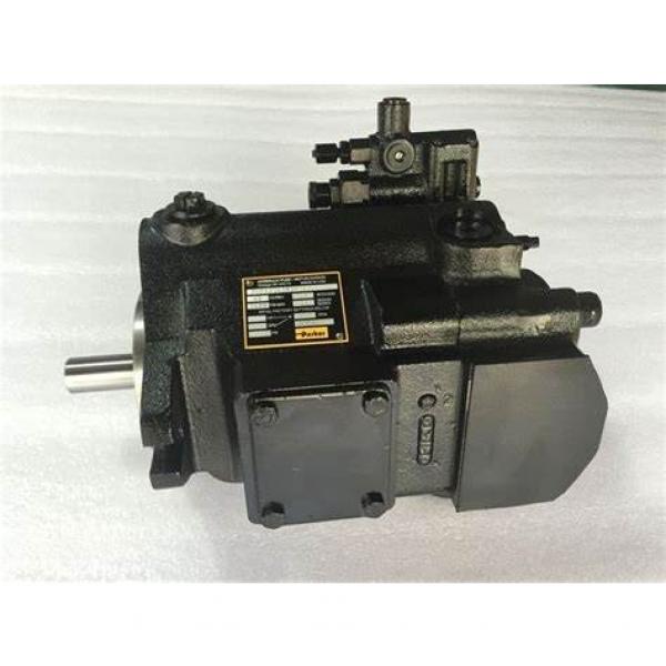 PAKER PV016 R1K1T1NMMC Piston Pump #2 image